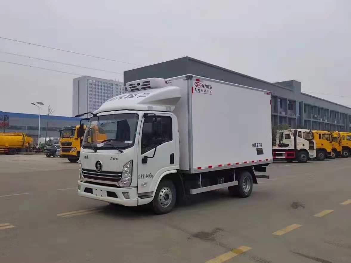国六陕汽德龙K3000 4.2米冷藏车